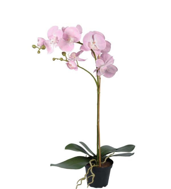 Orkidé | Konstgjord Phalaenopsis rosa 60 cm - Bild 2