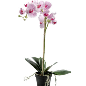 Orkidé | Konstgjord Phalaenopsis Lila 60 cm