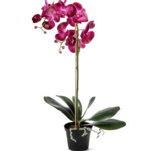 Orkidé | Konstgjord Phalaenopsis M Lila 60 cm