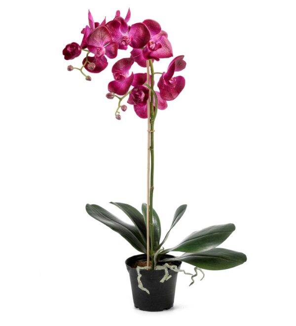 Orkidé | Konstgjord Phalaenopsis M Lila 60 cm