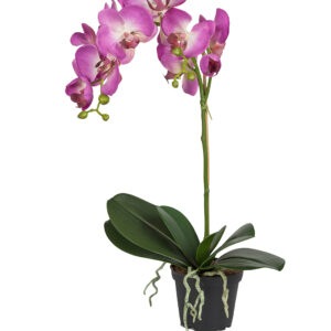 Orkidé | Konstgjord Phalaenopsis Lila 60 cm