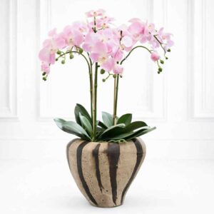 Orkidé | Konstgjord Phalaenopsis rosa 60 cm