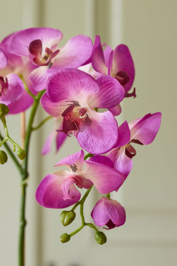 Orkidé | Konstgjord Phalaenopsis Lila 60 cm - Bild 3