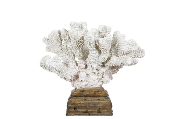 Korall | Smoth På Fot Vit Poly 23x19x28cm