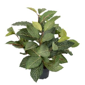 Fittonia | Konstgjord  Grön 40 cm