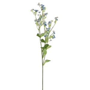 Förgätmigej Forget me not blå 65 cm