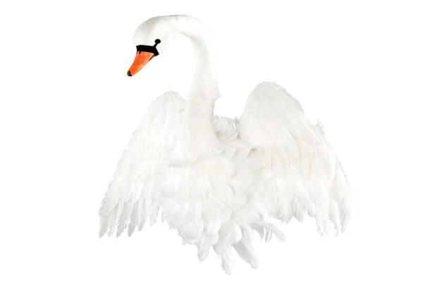 Fågel | Svanhuvud Vingar Vit 85x32x60cm