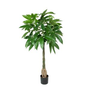 STRANDKASTANJ KONSTGJORT PACHIRA 80 CM