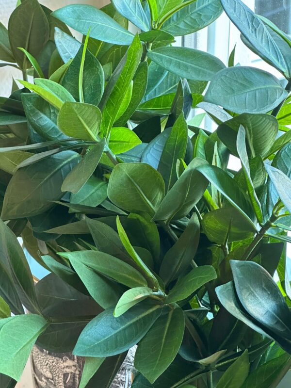 Konstgjord Sakaki | Cleyera japonica 50 cm