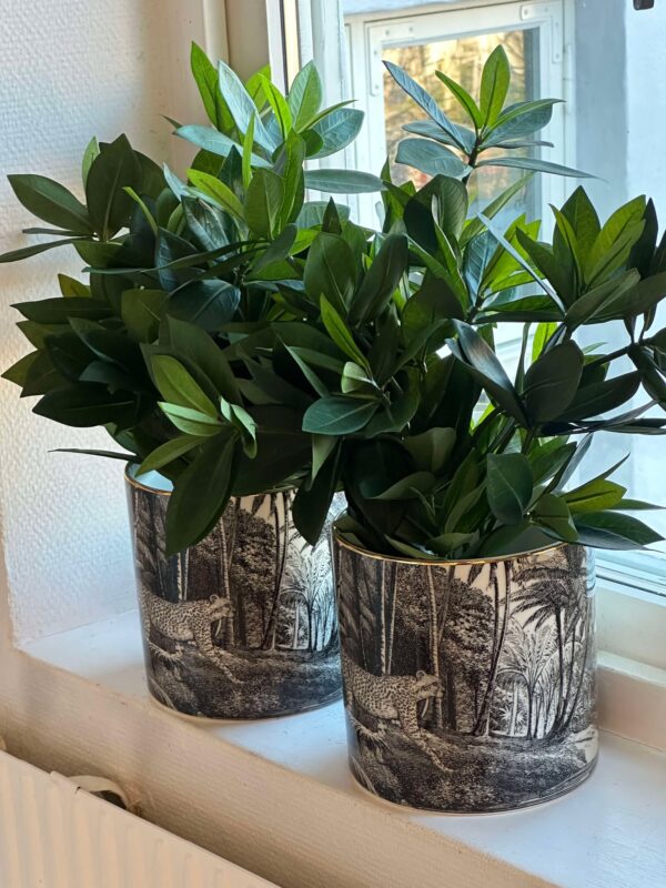 Konstgjord Sakaki | Cleyera japonica 50 cm