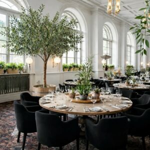 Olivträd | Konstgjort Äkta stam UV 250 cm