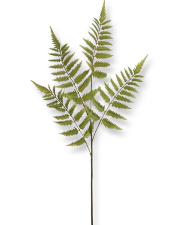 Blad | Konstgjort Ormbunksblad ljusgrön 90 cm
