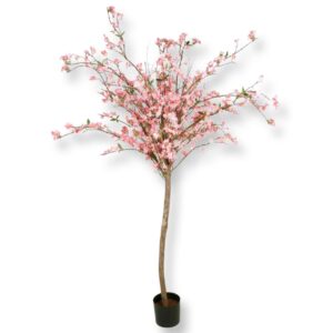 Rosa körsbärsträd 180 cm för uthyrning