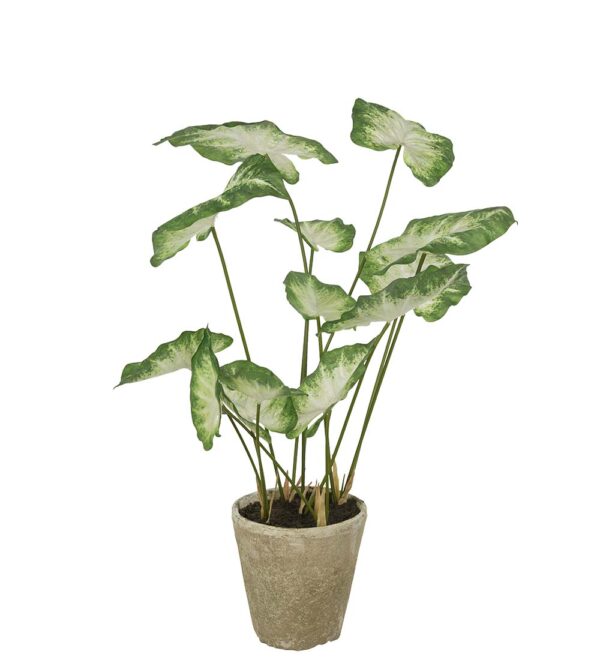 Caladium | Konstgjord i lerkruka 80 cm
