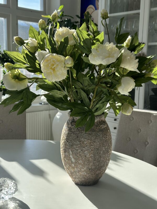 PION | VIT SNITTBLOMMA 65 CM