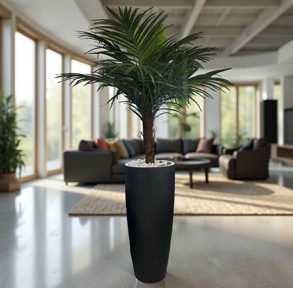 Arecapalm 180 cm