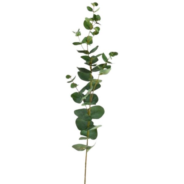 Eucaluptus | Eucalyptus grön kvist 75 cm - Bild 2