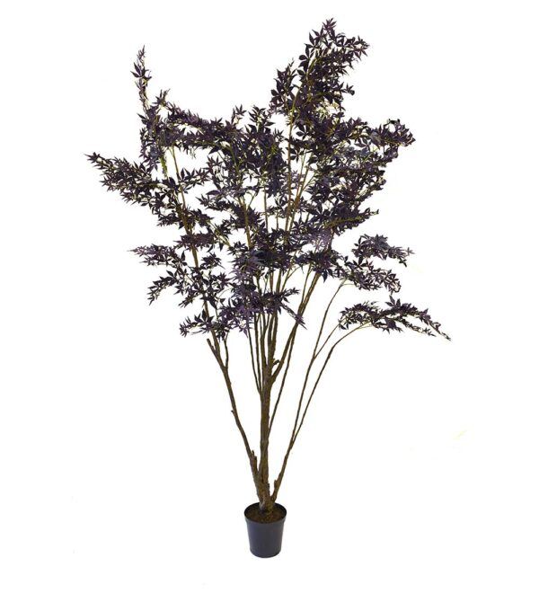 Lönn | Stor Lönn-buske Burgundy 300 cm