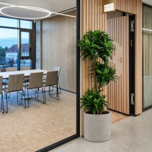 Dracena | Konstgjord Dracaena Janet Craig UV 150 cm