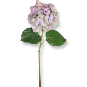 Hortensia | Snittblomma Lila 47 cm