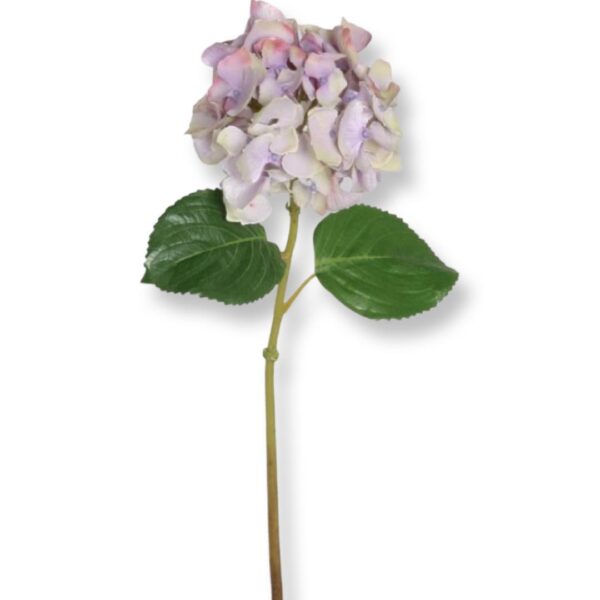 Hortensia | Snittblomma Lila 47 cm