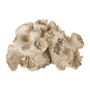 Korall | Bred Poly Cream brun 16X14X8 cm