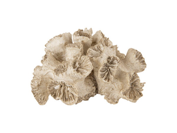 Korall | Bred Poly Cream brun 16X14X8 cm