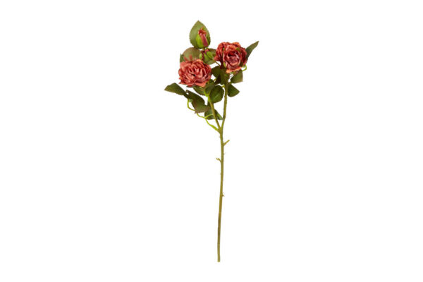 Ros | Snittblomma röd orange 40 cm