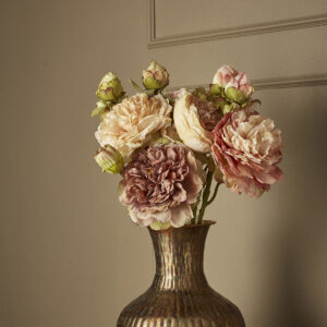 Pion | Snittblomma beige med knoppar 65 cm