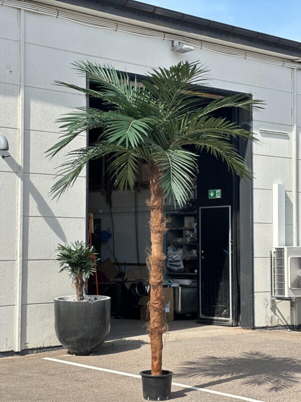 Palm | Arecapalm äkta palmfaser Extra Stora konstgjorda blad 260 cm