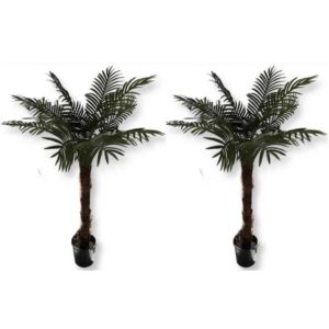 Palm för urhyrning 2 set 150 cm