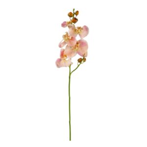 Orkidé | Konstgjord snittblomma rosa-aprikos 70 cm
