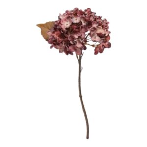 Hortensia | Snittblomma Bordo Höst  34 cm
