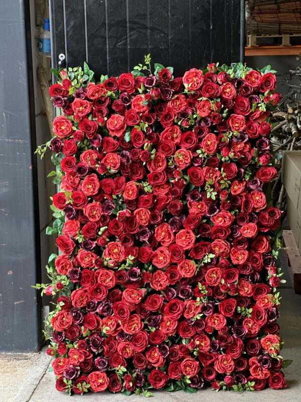 vacker röd mixad rosblomvägg