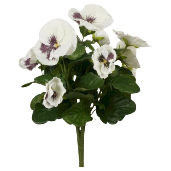 Snittblomma Styvmorsviol cream 30 cm