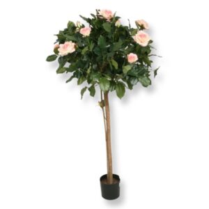 rosa rosbuske 110 cm för uthyrning