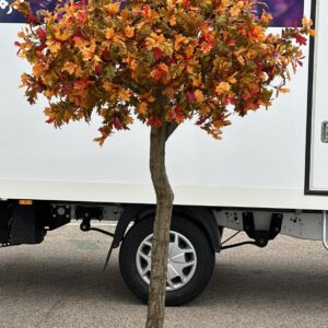 Ekträd - Höst - äkta stam konstgjorda blad 250 cm