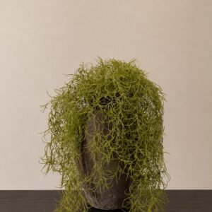 Hängväxt | Konstgjord Spanskmossa -Tillandsia Ljus Grön UV 66 cm