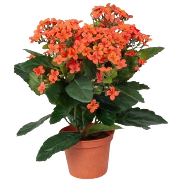 Konstgjord Kalanchoe Blossfeldiana Orange