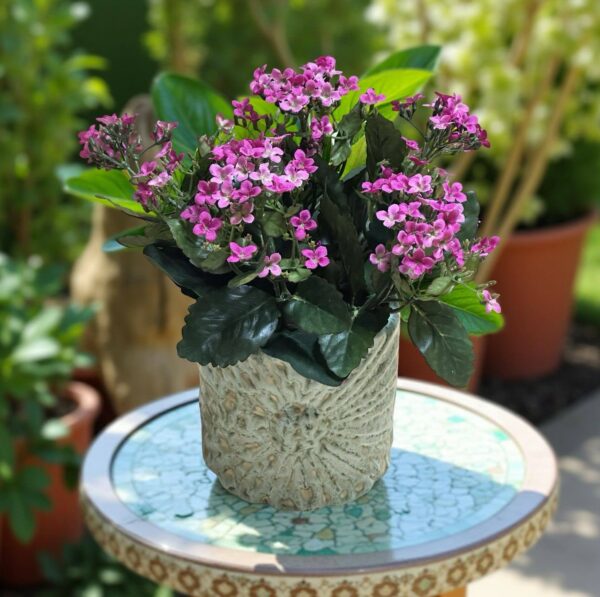 Kalanchoe | Konstgjord Blossfeldiana rosa-lila 30 cm