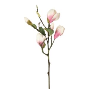 MAGNOLIA | KVIST GROV CREAM & ROSA 50 CM