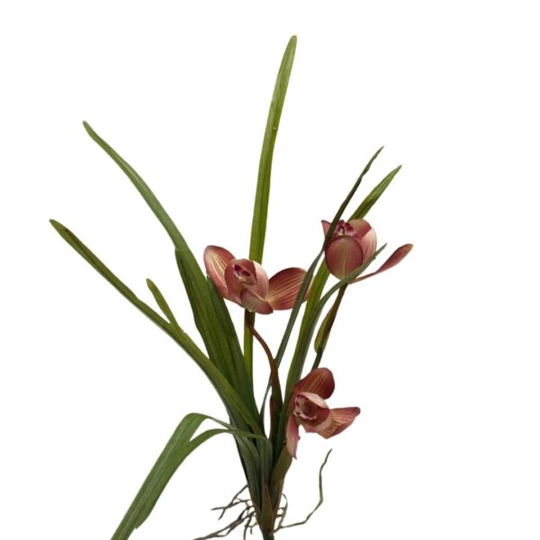 ORKIDÉ | SNITTBLOMMA RÖD 38 CM