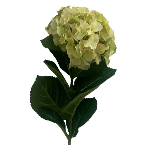 Hortensia | Konstgjord Snittblomma Cream Lime 47 cm - Bild 3