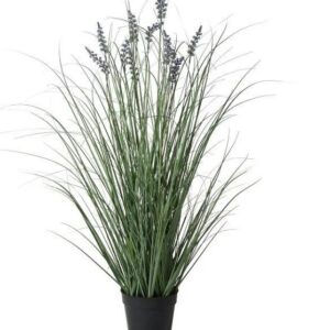 LAVENDEL I kruka H90CM PLAST