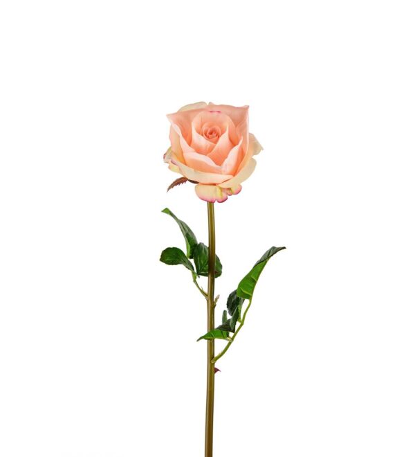 Konstgjord snittblomma av Aprikos ros 65 cm