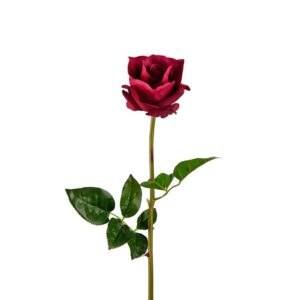 Konstgjord ros som snittblomma Burgundy 65 cm