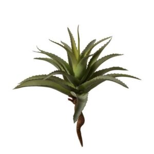 Aloe vera med monterings pinne 35 cm