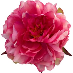 Skarp rosa blombrosch ca 13 cm från Webflower