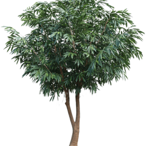 Konstgjort Longfolia träd på platta 400 cm