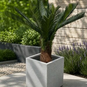 Handgjord Cycaspalm med äkta palmfaser 110 cm